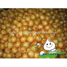 Buy fresh fruit vietnam grapefruit pomelo fruit